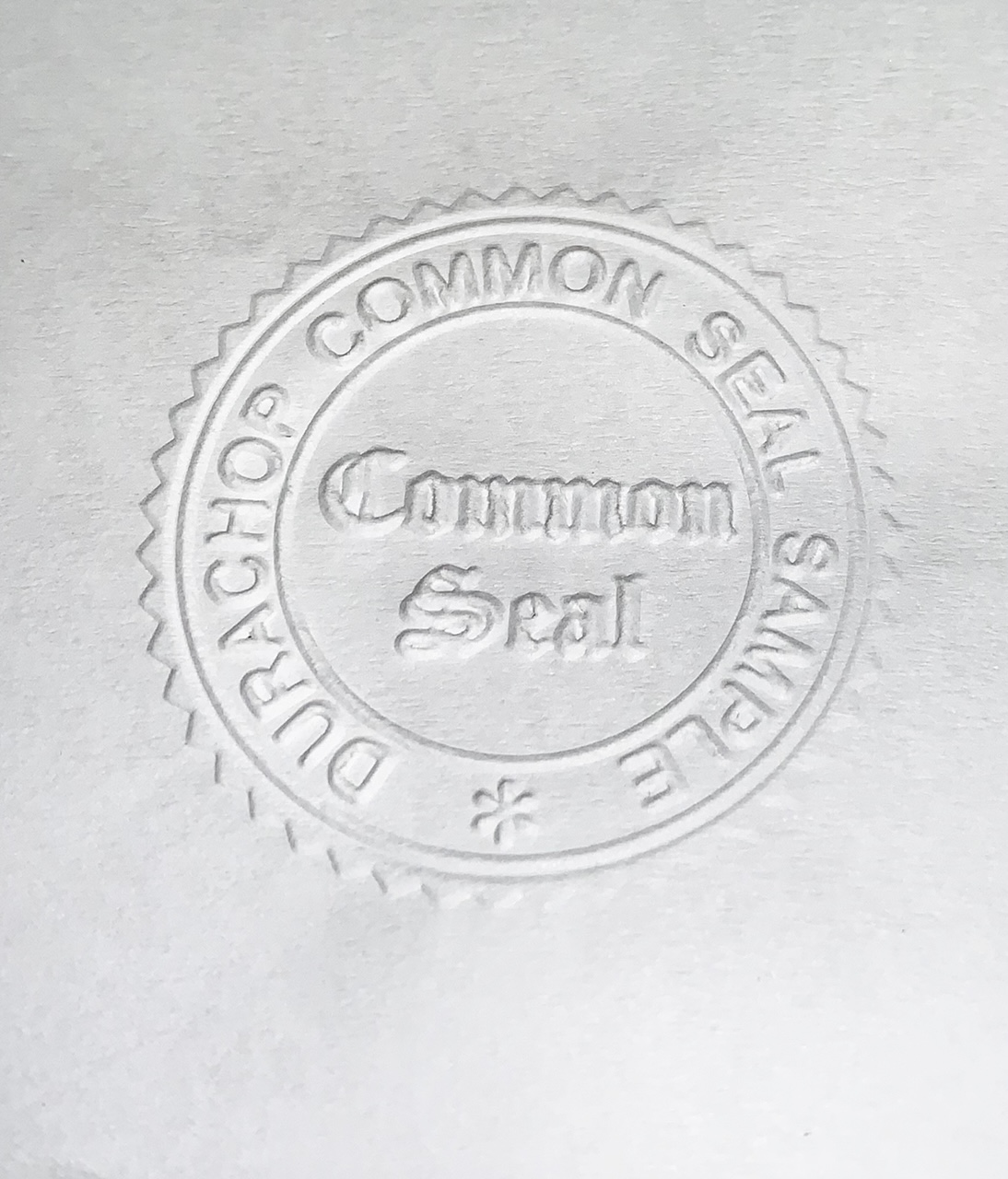 https://d3pyarv4eotqu4.cloudfront.net/durachopo/images/products_gallery_images/Common_Seal_Sample_2.JPG